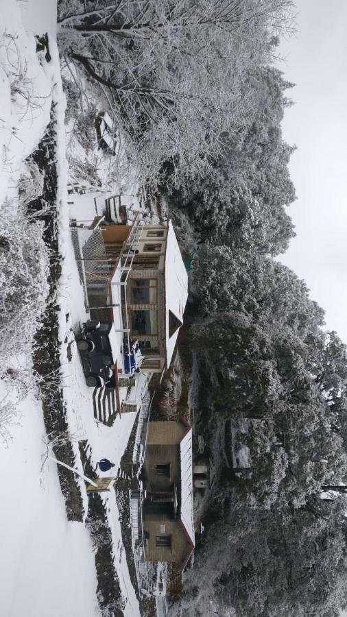 Simba Cafe & Lodge Binsar Exterior foto